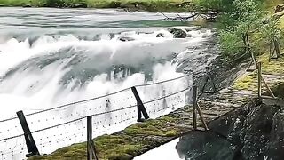 Nature is awesome