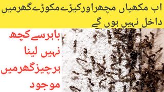 4 kitchen cleaning tips | Cleaning hacks | Monsoon home remedies