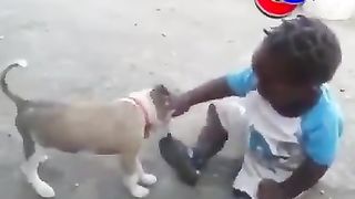 Fanny dog 2