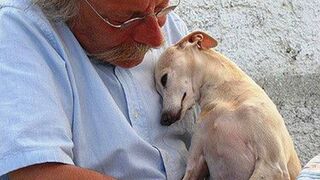 Moments when your dog shows love to you and warms your heart! ❤️