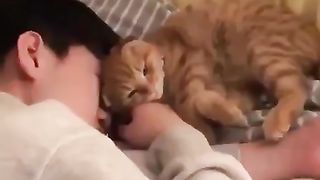 A cat that falls asleep when I come to wake it up.