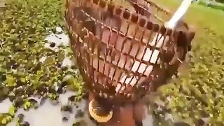 Awsome videos 2023