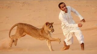 Arab memes but they NEVER Disappoint