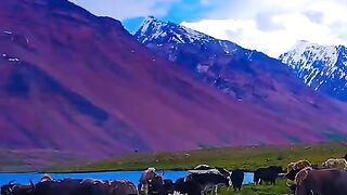 Beautiful village 7