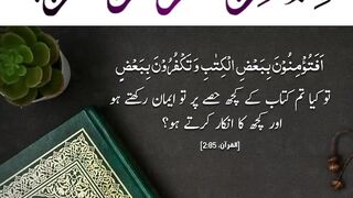 Quran , Al Quran Surah 02 Ayat 85 #viral #shorts #quran #youtubeshorts
