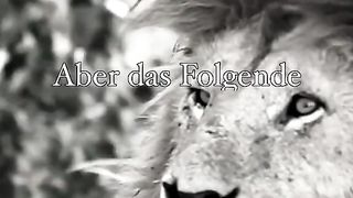 Liebe 3