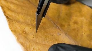 Beautiful and enchanting carving art 5