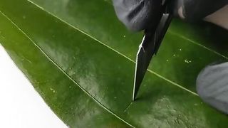 Beautiful and enchanting carving art 7
