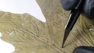 Beautiful and enchanting carving art 10