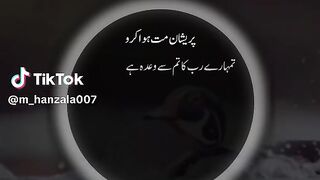 videos 81