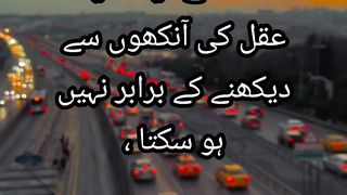 Imam Ali A.S Quotes 7