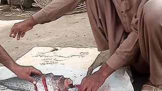 ???? fishing