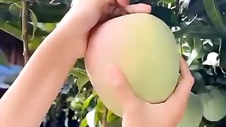 Fresh fruits ???????????? harvesting look amazing follow our channel