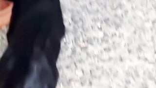 cute cat  #viralshort #shortsyoutube #3cardpoker #trendingshorts #cat#shorts #viral#short#video