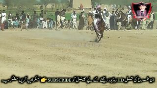 #hoers#riding in#jhamra#darbarkala#shah 14