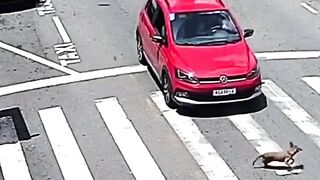 Accident 15