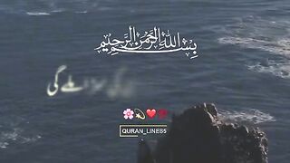 video 207