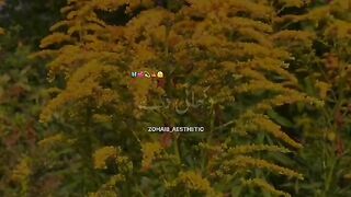 Latest song 2023 2
