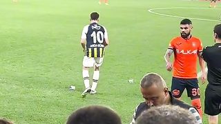 Arda gular