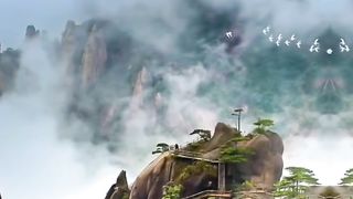 Beautiful Nature | Jungle beauty | Nature serenity with aweaome song