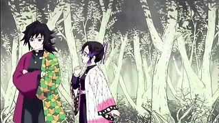 Demon Slayer ' Shinobu and Tomiuka Giyu