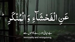 Al quran 6