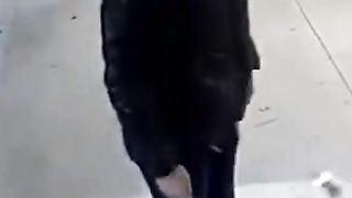 Funny trending funny video