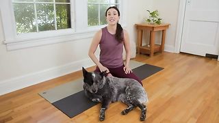 Prenatal_Yoga___22-Minute_Home_Yoga_Practice