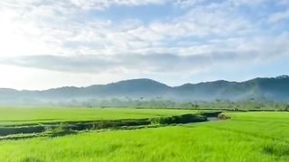 Beautiful view 63