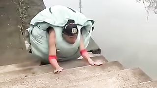 Tortoise 2