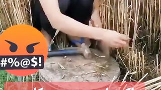 Funny videos 340