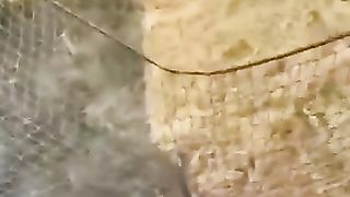 Funny videos 342