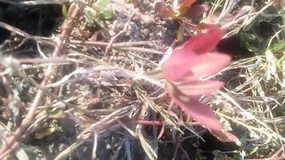 Animal lovers