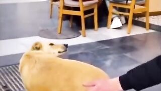 Try not to ????????????