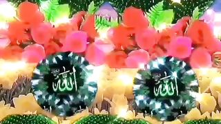 New Naat Shareef status # #shorts