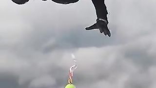 Sky diving videos 13