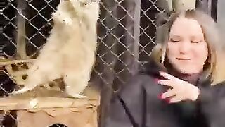 Funny animal videos 11