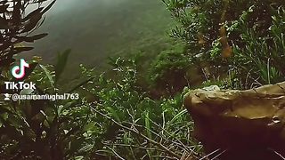 Nature Love 3