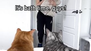 When_your_cat_doesn’t_like_taking_a_bath_????_#catshorts_#catsfunny_#shorts30_#