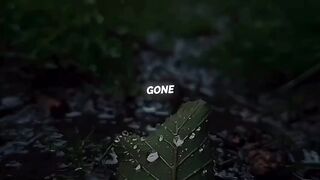 Chill your mind