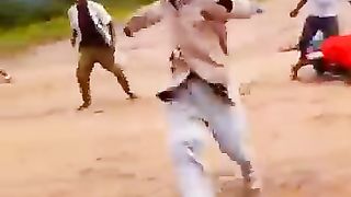 Funny videos 345