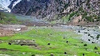 Beauty's Valley of KPK Pakistan