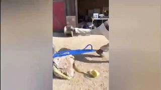 Peoples daying inside.prank.