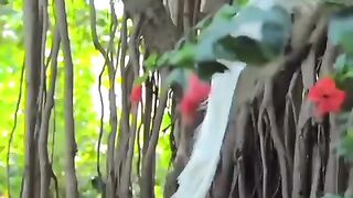 Quran rite with amazing birds