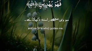 Heart touching Quranic verse Recite #quran #