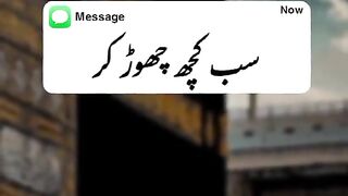 beshak 2
