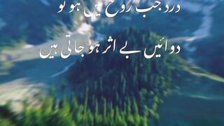 Poetry|| short video