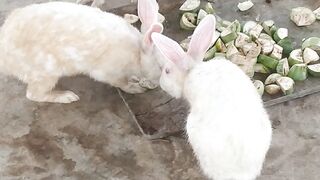 satisfying video 2