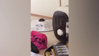 Funny cat videos 16