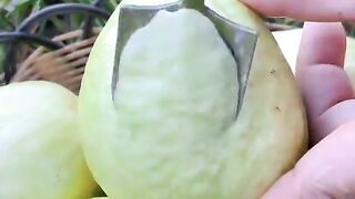 Amazing frouits